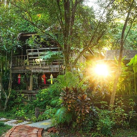 Tongluang Inthanon Homestay โต้งหลวงอินทนนท์โฮมสเตย์ Chom Thong Εξωτερικό φωτογραφία