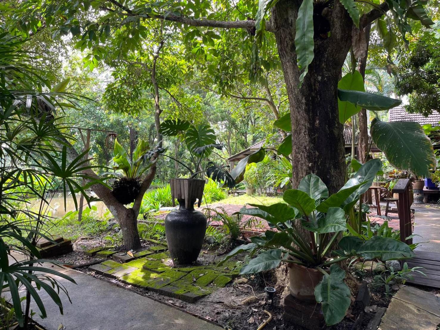Tongluang Inthanon Homestay โต้งหลวงอินทนนท์โฮมสเตย์ Chom Thong Εξωτερικό φωτογραφία