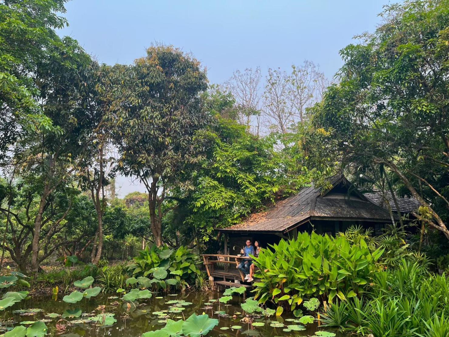 Tongluang Inthanon Homestay โต้งหลวงอินทนนท์โฮมสเตย์ Chom Thong Εξωτερικό φωτογραφία